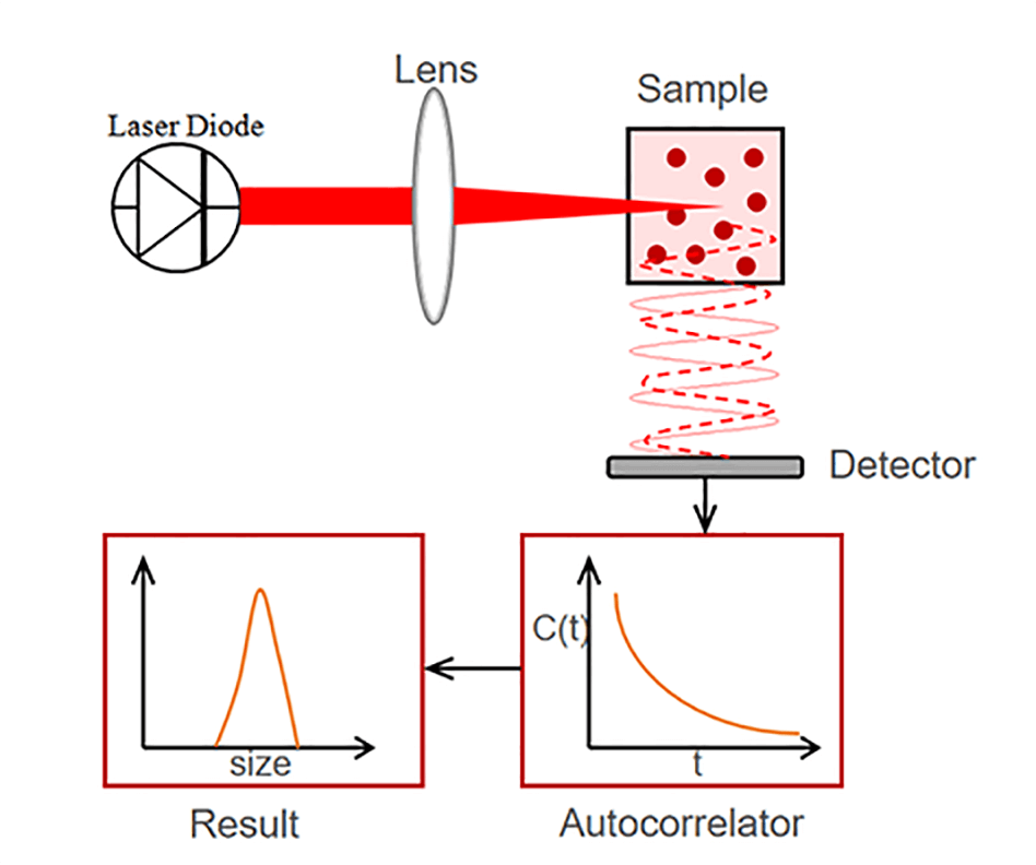 Einstein-Stokes Equation