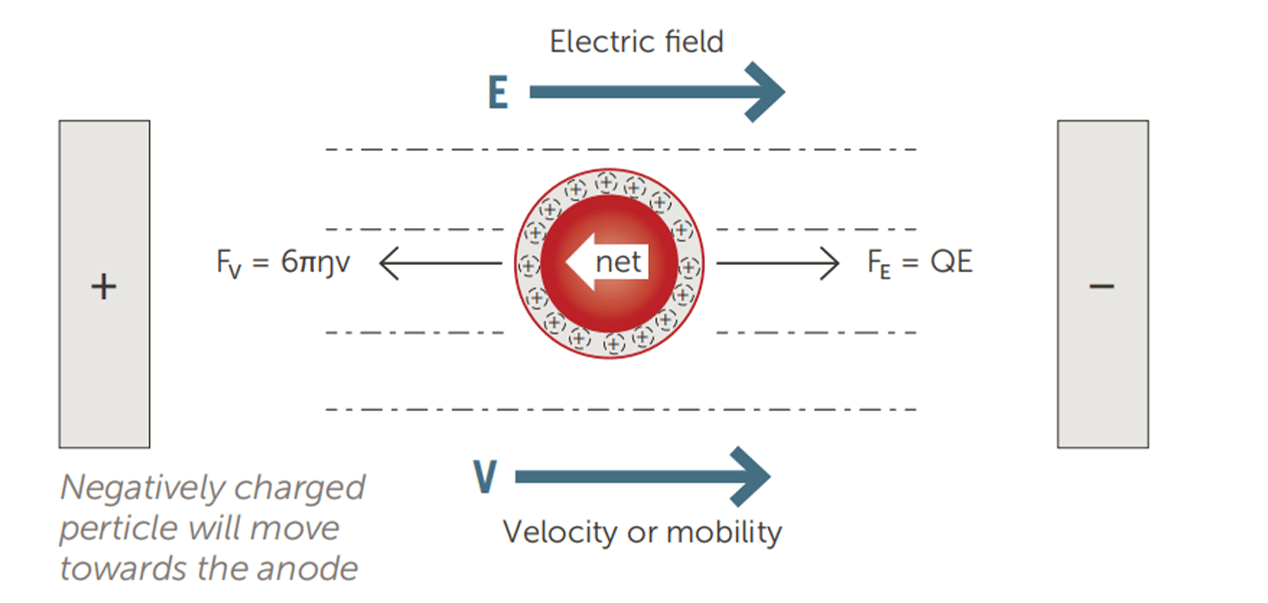 Zeta Potential Diagram